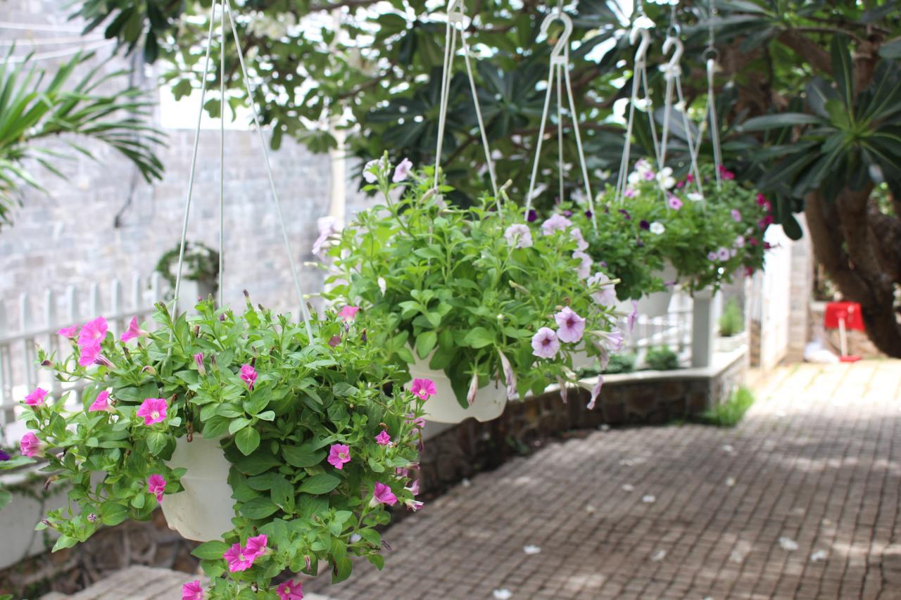 Des Ami Villa Vung Tau Bagian luar foto